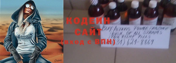 трава Корсаков
