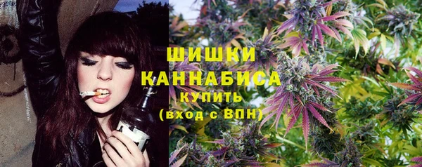 трава Корсаков