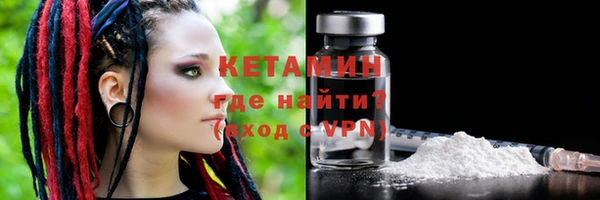 трава Корсаков