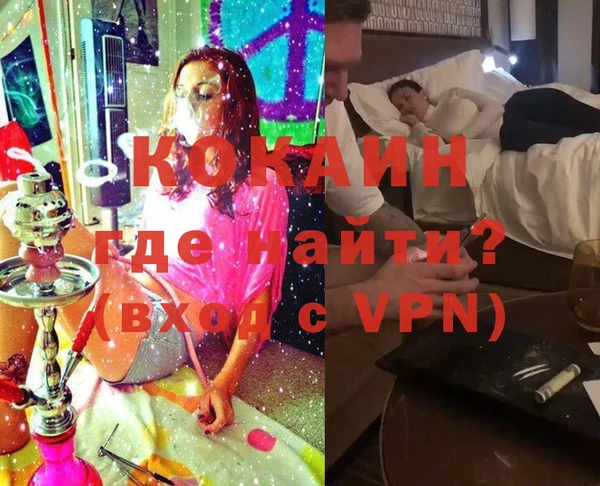 индика Коряжма