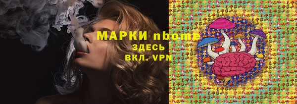 прущие грибы Наволоки