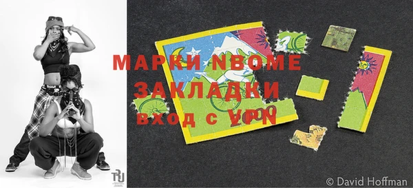 индика Коряжма