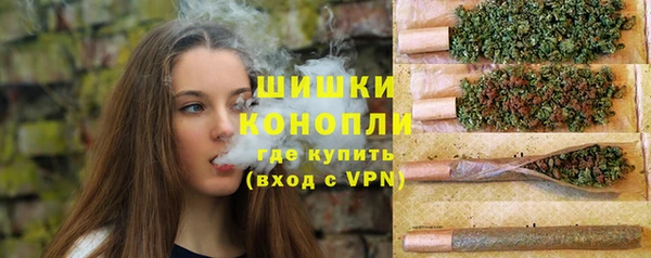 трава Корсаков