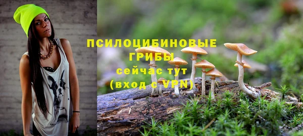 твердый Костерёво