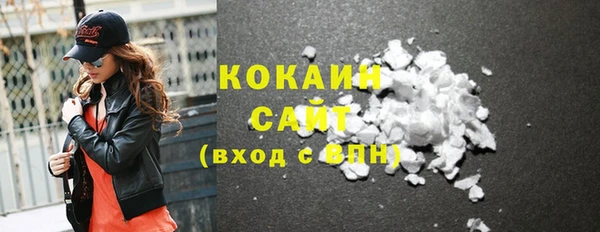 трава Корсаков