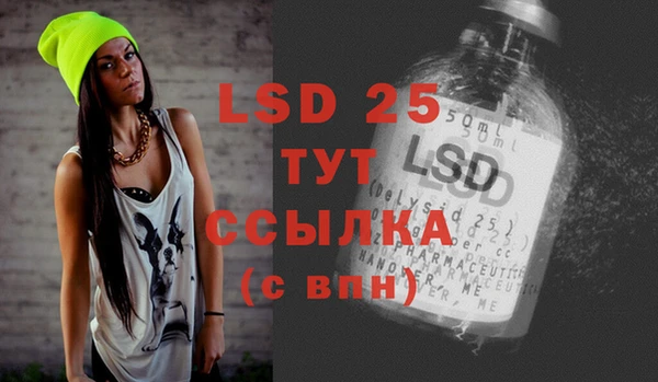 индика Коряжма