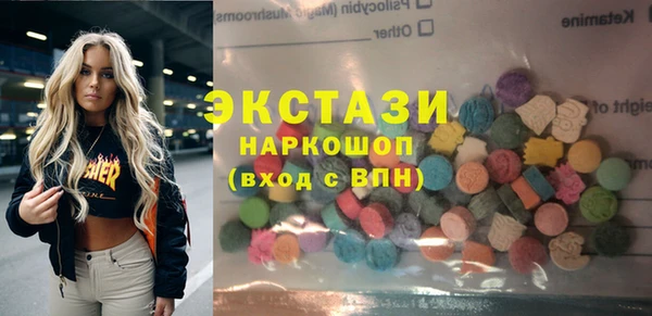 индика Коряжма