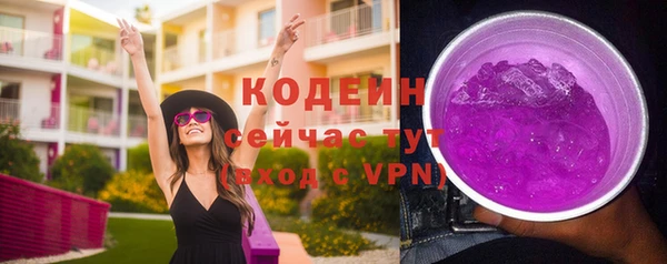 индика Коряжма