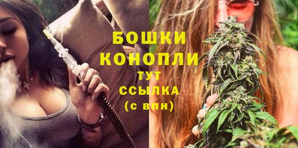 индика Коряжма