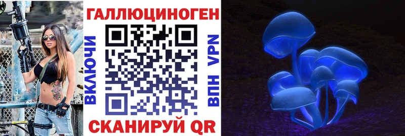 что такое наркотик Кологрив Псилоцибиновые грибы Psilocybe