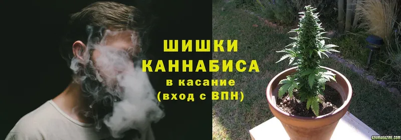 hydra зеркало  Кологрив  Бошки Шишки SATIVA & INDICA 